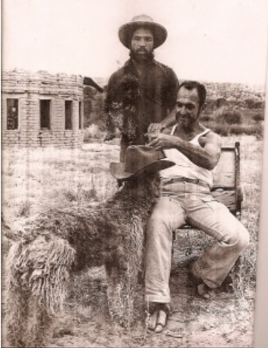 Picture